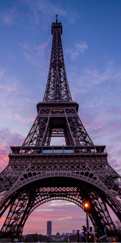 Wie wichtig sind Store-Checks & Netzwerken?