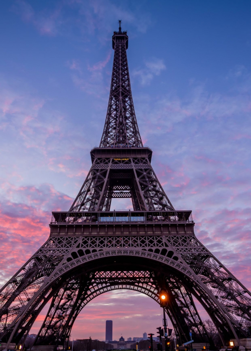 Wie wichtig sind Store-Checks & Netzwerken?